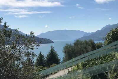 Domaso: Wine Tasting at the Winery on Como Lake - Meeting the people behind the pours: Sylvia, Daniella, and the family setup