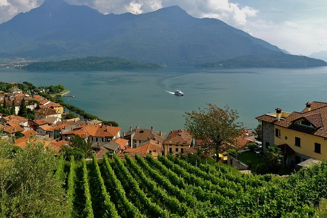 Domaso: Wine Tasting at the Winery on Como Lake - Pairings That Actually Feel Local: ham, olive oil, cheese, and bread