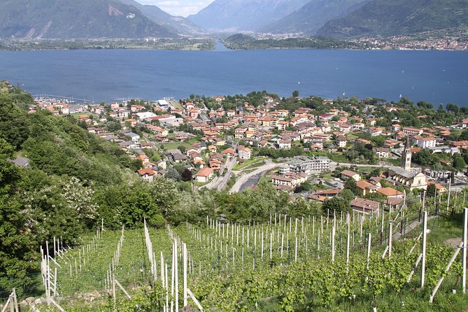 Domaso: Wine Tasting at the Winery on Como Lake - Getting There: Car is easiest, boat adds a workout