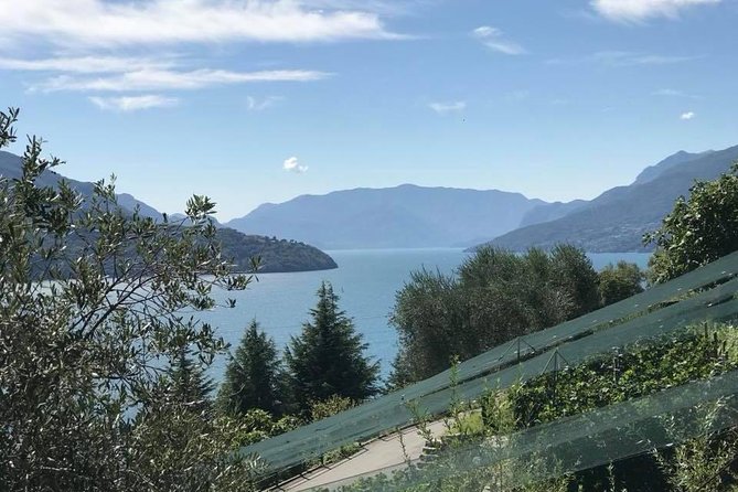 Domaso: Wine Tasting at the Winery on Como Lake - Meeting the people behind the pours: Sylvia, Daniella, and the family setup
