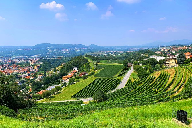 E-Bike Tour Lake Como and Swiss Vineyards - The Route: From Villa Olmo to Cernobbio, Moltrasio, and Over the Border