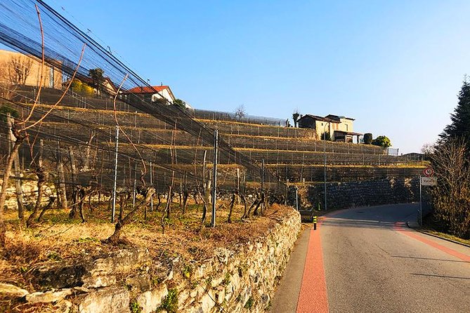 E-Bike Tour Lake Como and Swiss Vineyards - The Weather Factor: What to Expect When It’s Not Perfect