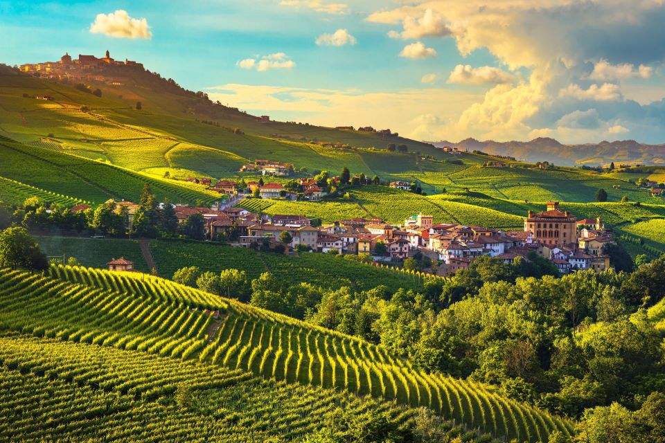From Milan: Barolo Wine Tasting, Alba Tour and Castle Visit - Key moments that make this day trip work