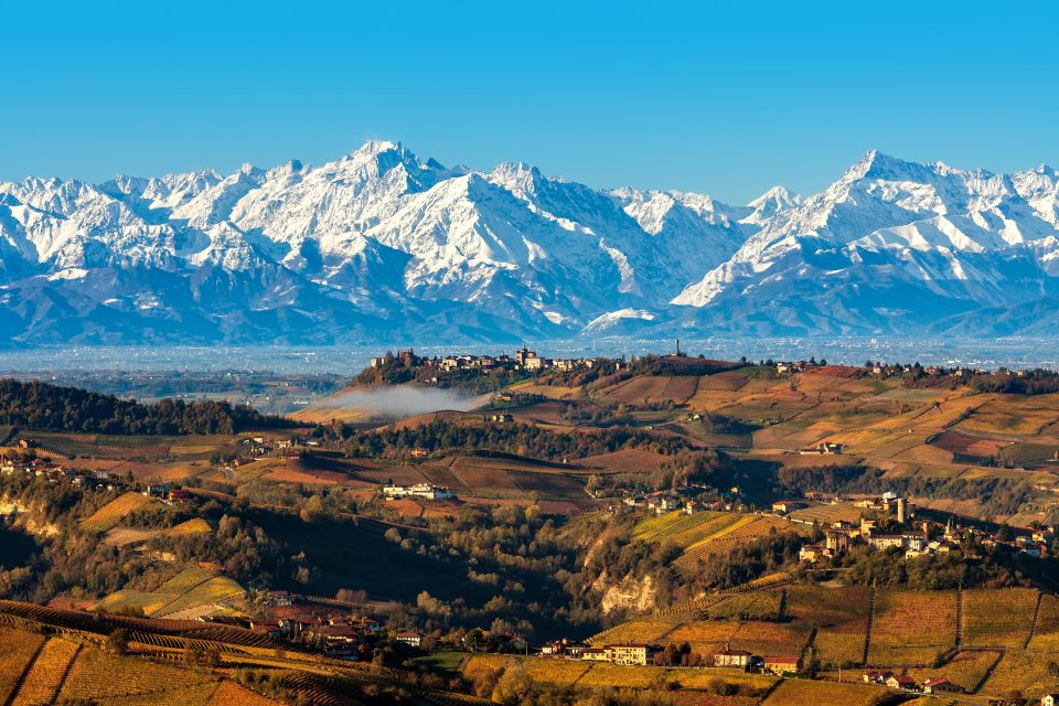 From Milan: Barolo Wine Tasting, Alba Tour and Castle Visit - Alba walking tour: medieval streets plus truffle-town personality