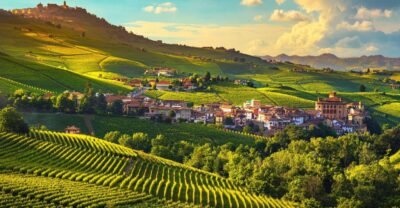 From Milan: Barolo Wine Tasting, Alba Tour and Castle Visit - Family-run wine tasting: what you’ll learn and taste