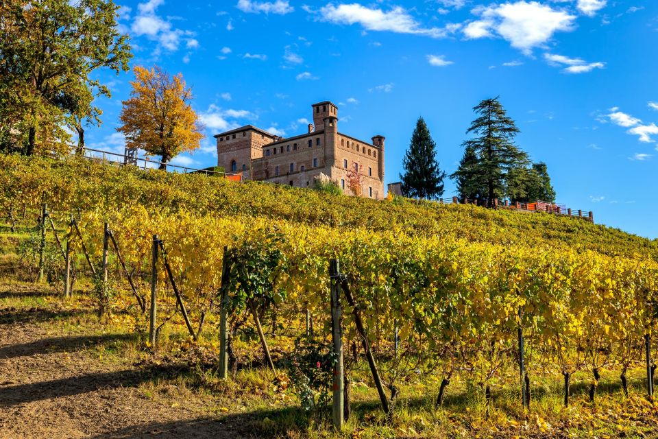 From Milan: Barolo Wine Tasting, Alba Tour and Castle Visit - The old enoteca wine stop: how the day ends with history