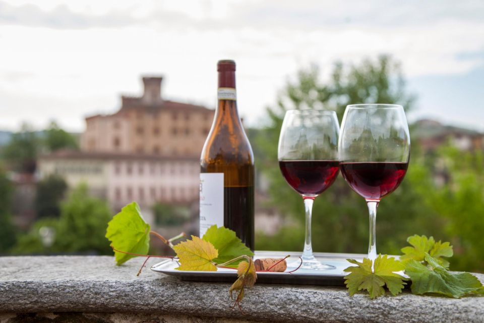 From Milan: Barolo Wine Tasting, Alba Tour and Castle Visit - Who this tour fits best (and who should choose differently)