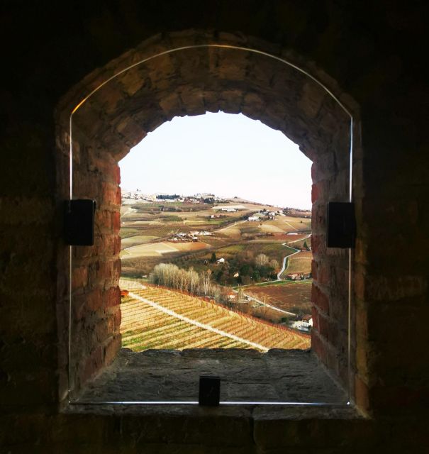 From Milan: Barolo Wine Tasting, Alba Tour and Castle Visit - Should you book the Barolo, Alba, and castle day trip?