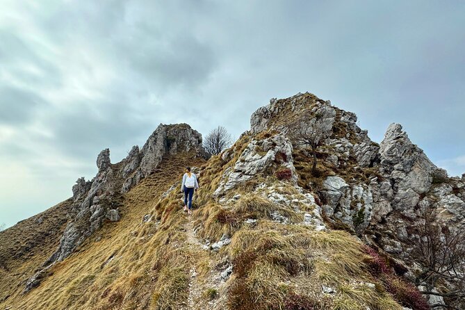 From Milan/Como/Varenna: Panoramic Hiking Tours near Lake Como - Guides set the tone: pacing, safety, and local context