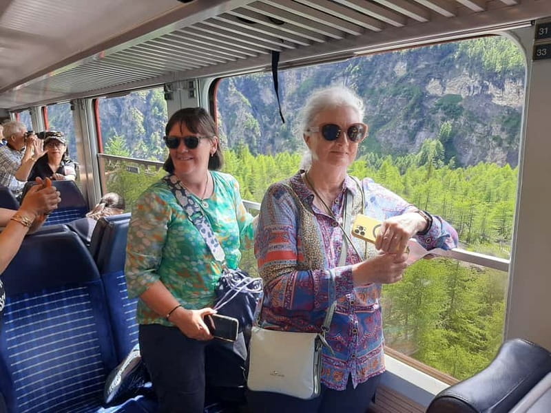 From Milan: Scenic Alps Day Trip with Bernina Train Ride - Who should book this Alps day trip, and who should skip it