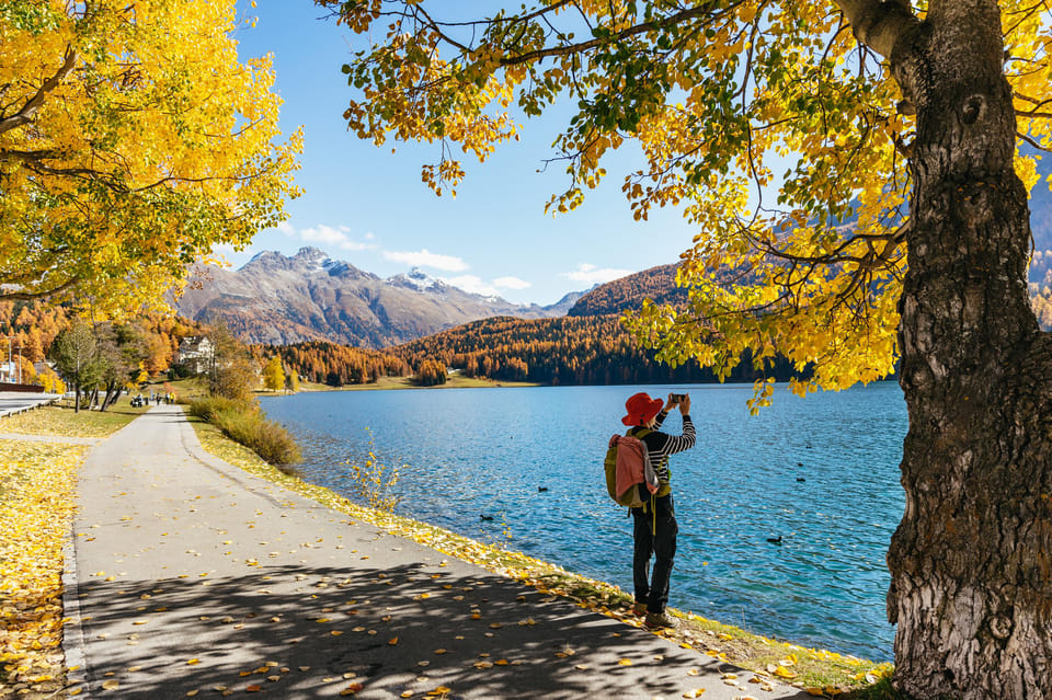 From Milan: St. Moritz and Panoramic Bernina Express Tour - The Bernina Express panoramic carriage: what you should expect once you board
