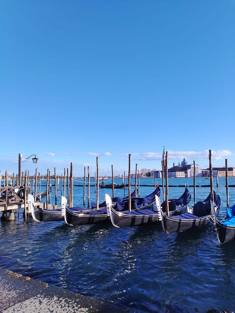 From Milan: Venice City Highlights Guided Day Trip - The lagoon boat transfer: why it changes your first 30 minutes