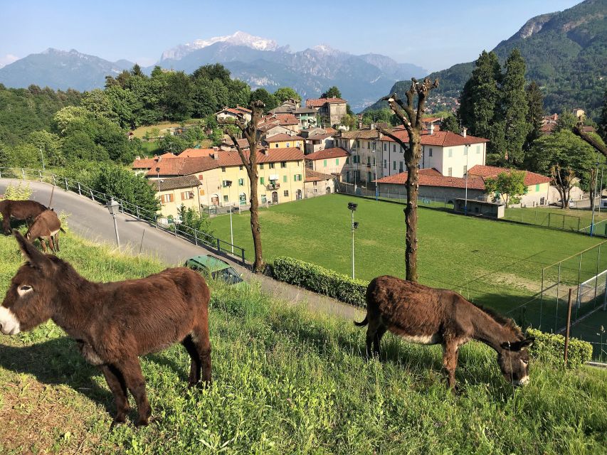 Lake Como to Lake Lugano: E-Bike Three Panoramic Lakes - Leaving Lake Como: Val Sanagra, Menaggio, and the feeling of a quieter world