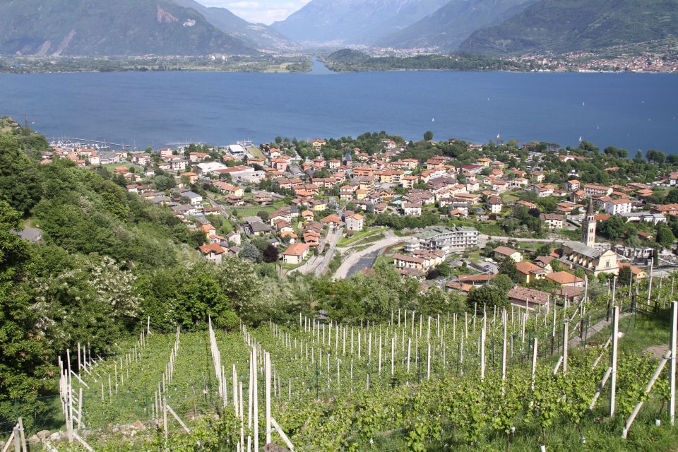 Lake Como: Winery Tour with Wine Tasting - The winery tour: what you’ll actually see in those 1.5 hours