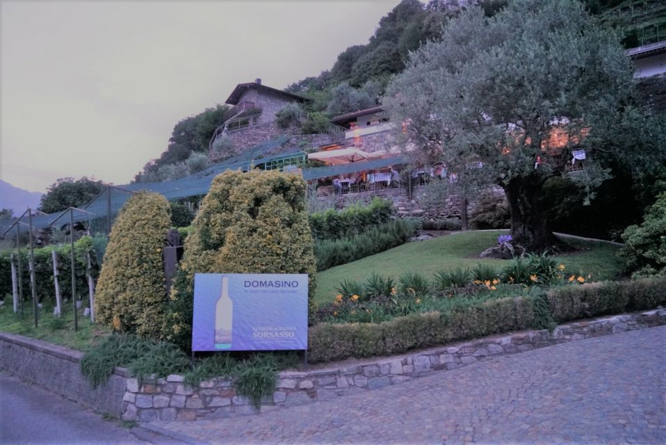 Lake Como: Winery Tour with Wine Tasting - The tasting terrace: 3 wines, 3 pairings, and serious views