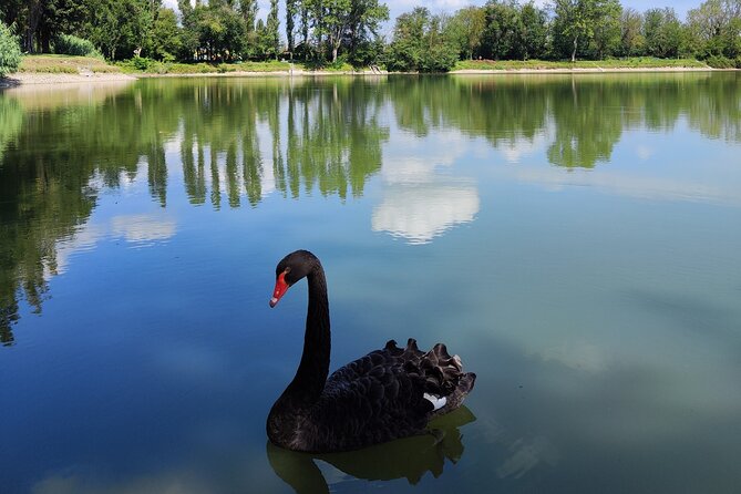 The Milan you don't expect, bike tour with picnic on the lake - Key highlights you’ll feel right away