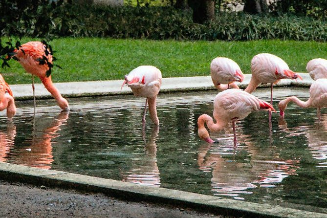 The Secret Milan – An Exclusive Stroll Beyond the Beaten Path - Milan’s Secret Corners: The Point of This Stroll